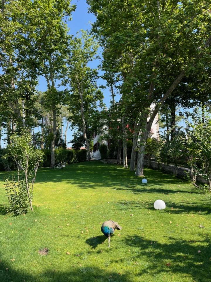 Casa Jardin El Colmenar Hotel Лас Навас дел Маркес Екстериор снимка